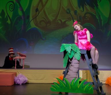 Parks Seussical 0500